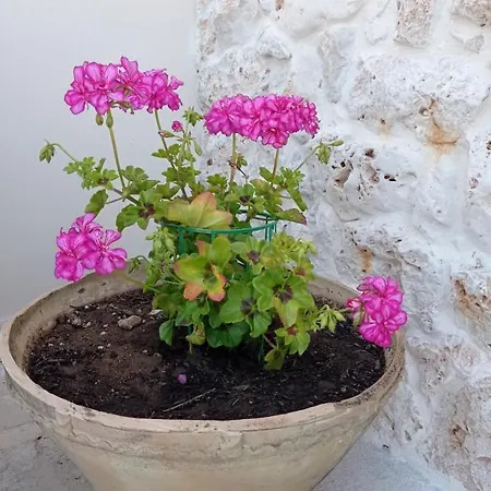Antica Dimora 