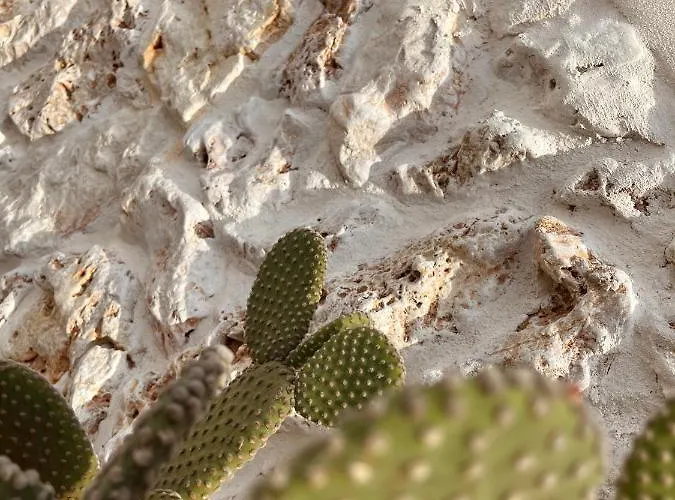 Antica Dimora 